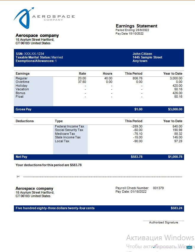 Download Aerospace company earning statement in Word and PDF formats Photoshop template